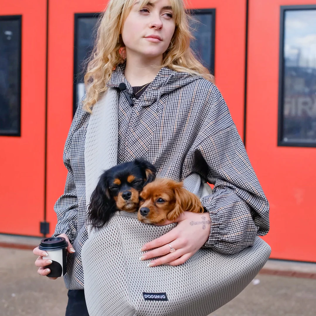 Air Puppy & Dachshund Dog Carrier