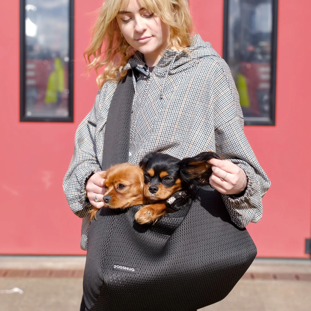 Air Puppy & Dachshund Dog Carrier