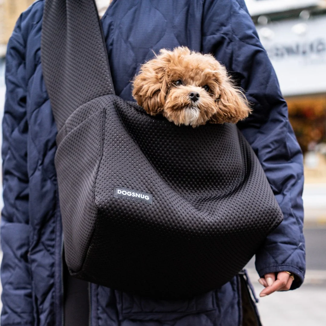 Air Puppy & Dachshund Dog Carrier